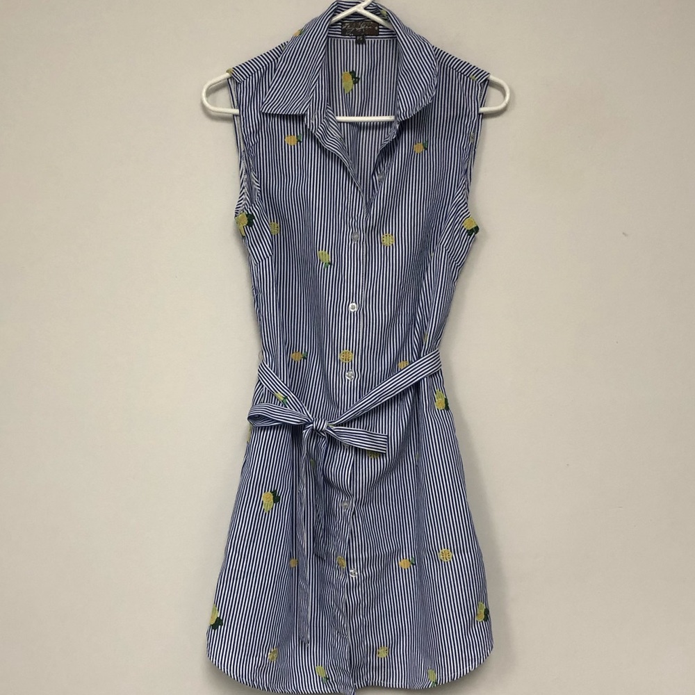Blue White Stripe Lemon Shirt Dress